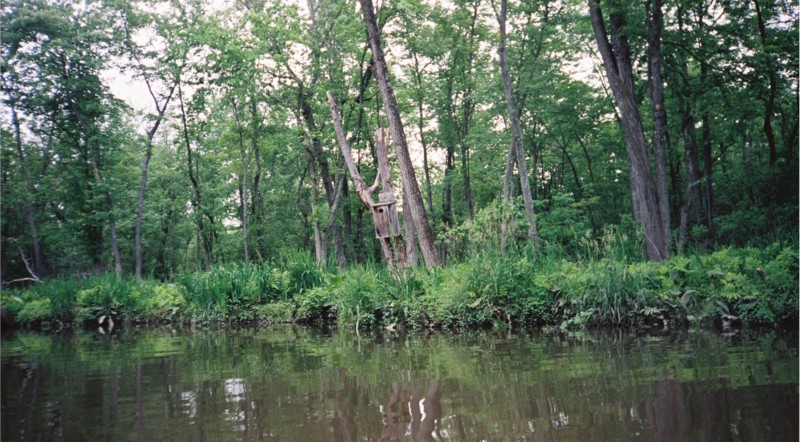 A duck nest box at the creek's edge