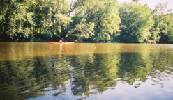 Brown water, green river bank
