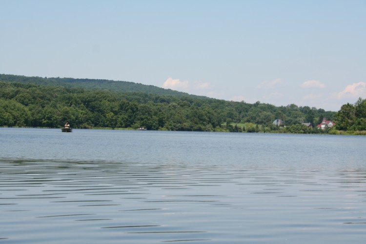 Scenic shot of the lake
